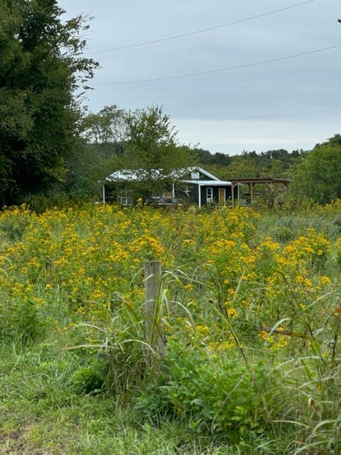 Camper-submitted photo at Hill by the James near Wingina, VA