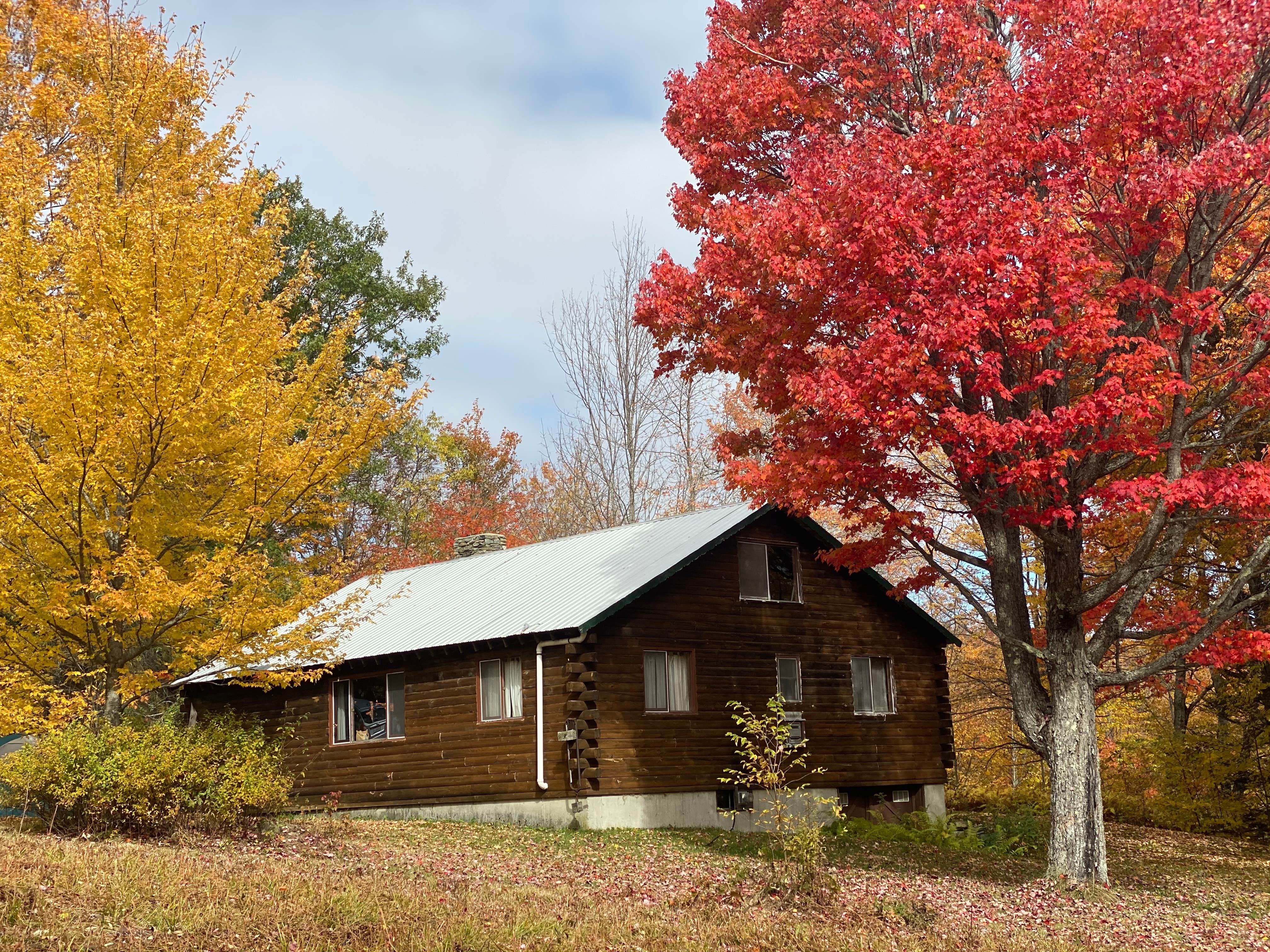 L W.'s photo of a cabin at Forest Echo Cabins near Brandon, VT