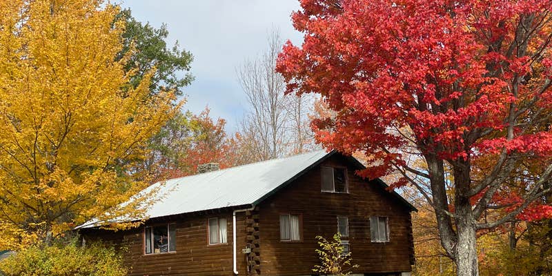 Camper submitted image from Forest Echo Cabins