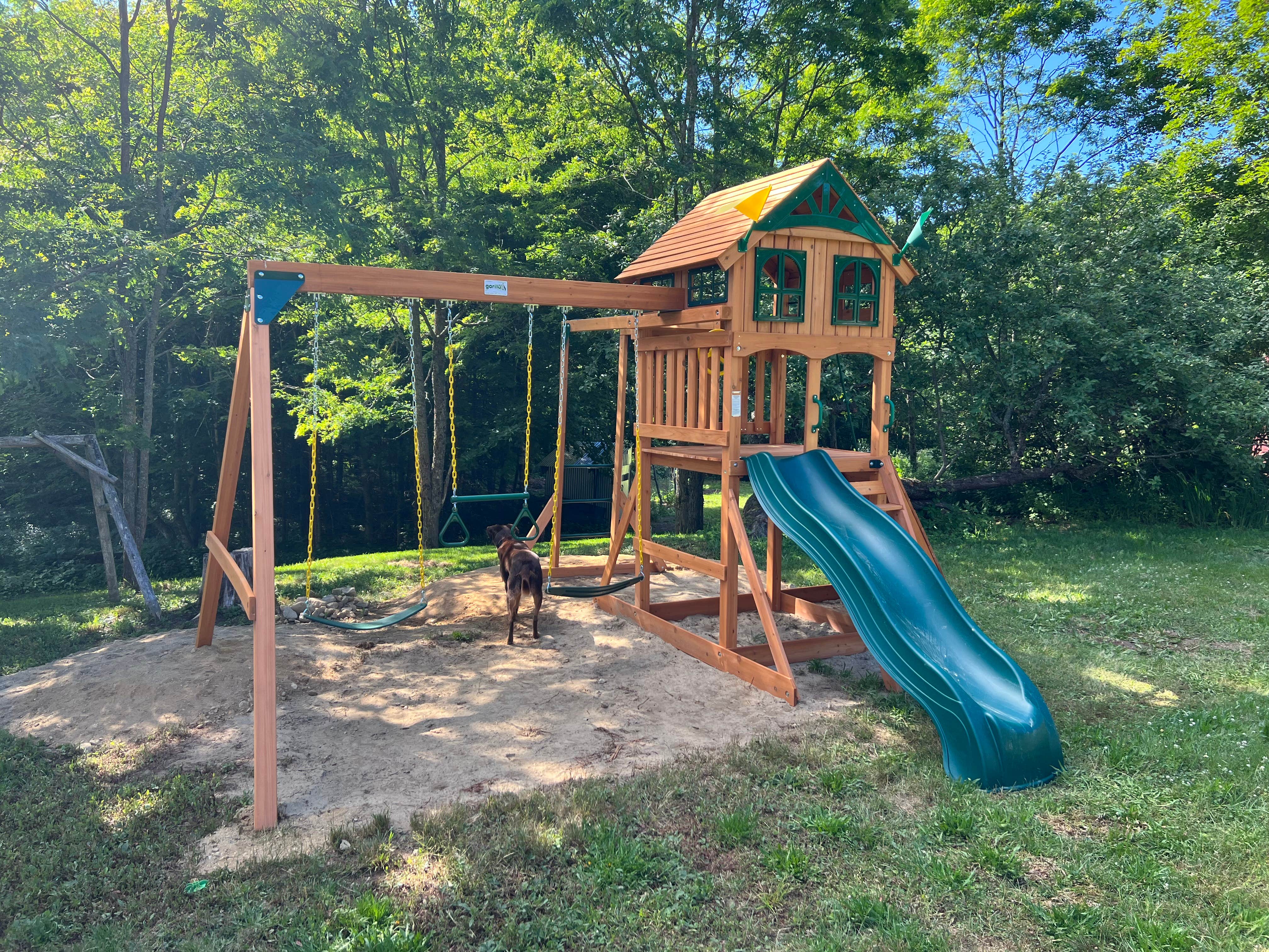 L W.'s photo of camping with pets at Forest Echo Cabins near Wells, VT