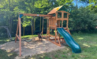 L W.'s photo of camping with pets at Forest Echo Cabins near Ludlow, VT
