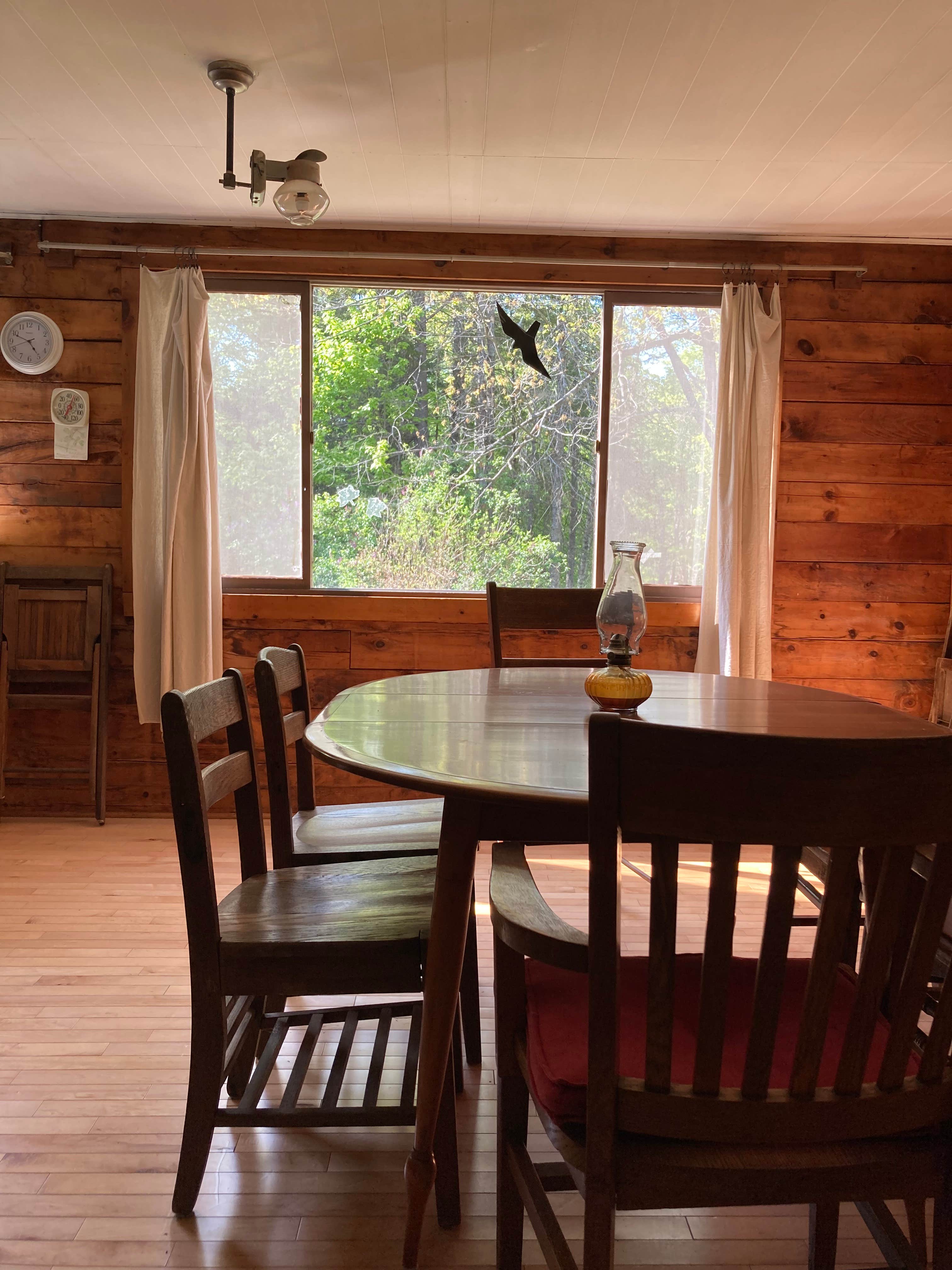 Camper-submitted photo at Forest Echo Cabins near Ludlow, VT