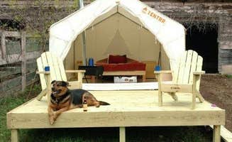 The Dyrt's photo of camping with pets at Abandoned Zoo: Fido's Vineyard near Catskill, NY