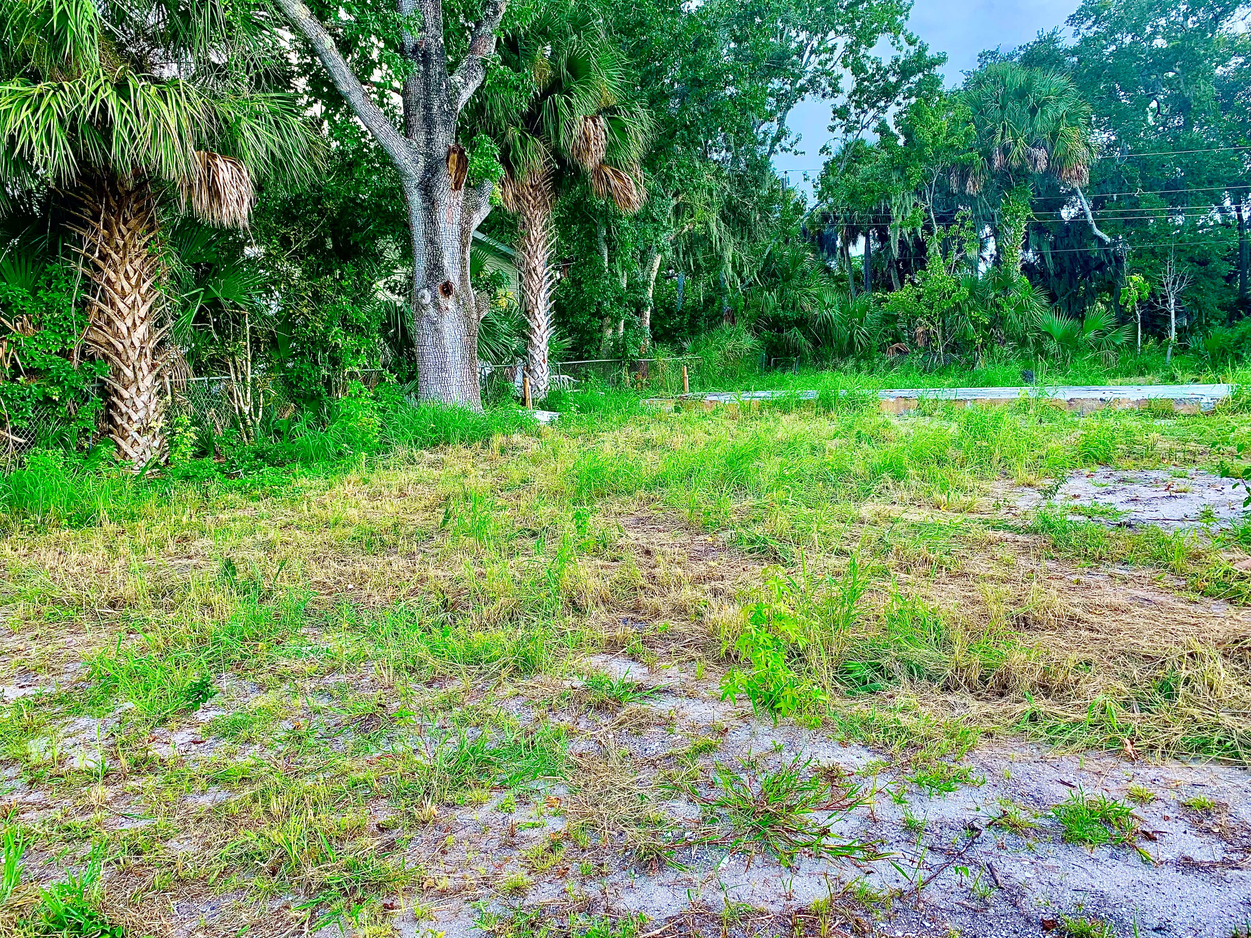 Camper-submitted photo at Space Coast Camping near Sharpes, FL