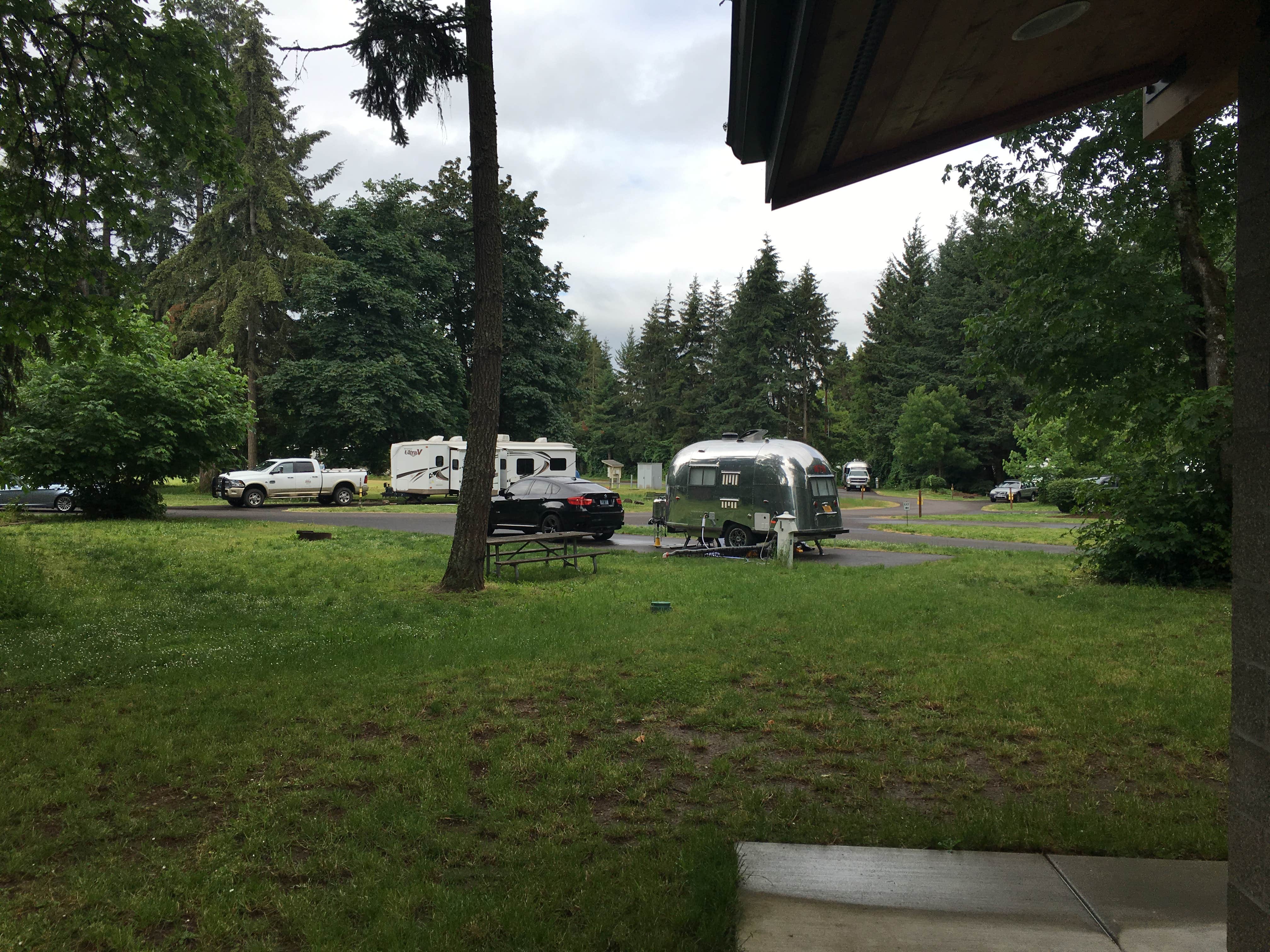 Camper submitted image from Armitage Park & Campground - a Lane County Park - 5