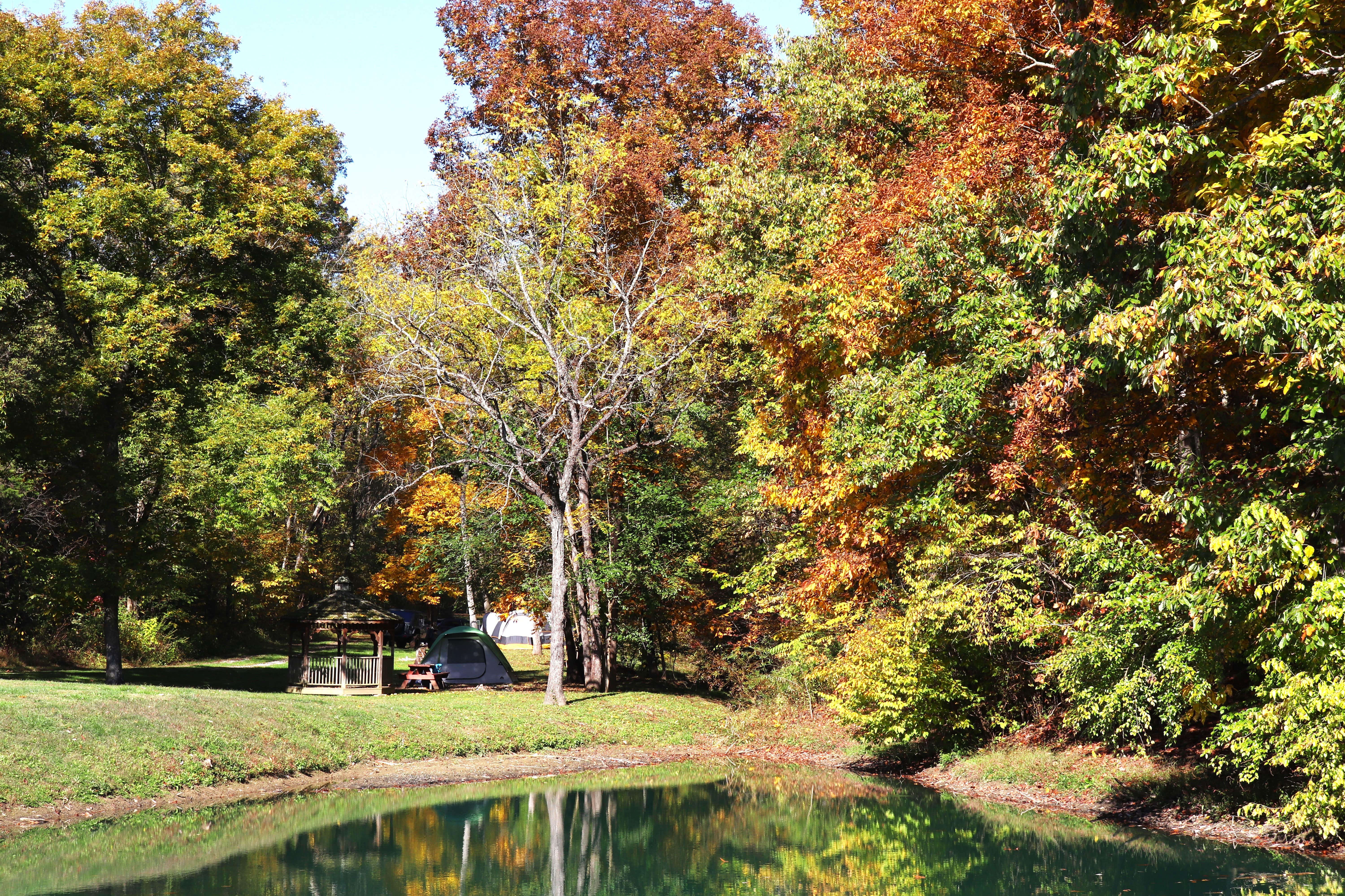 Camper submitted image from Three Springs Campground and RV Park - 1