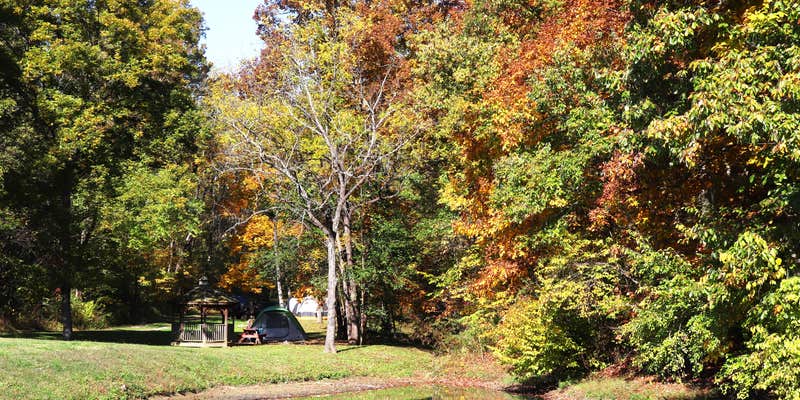 Camper submitted image from Three Springs Campground and RV Park