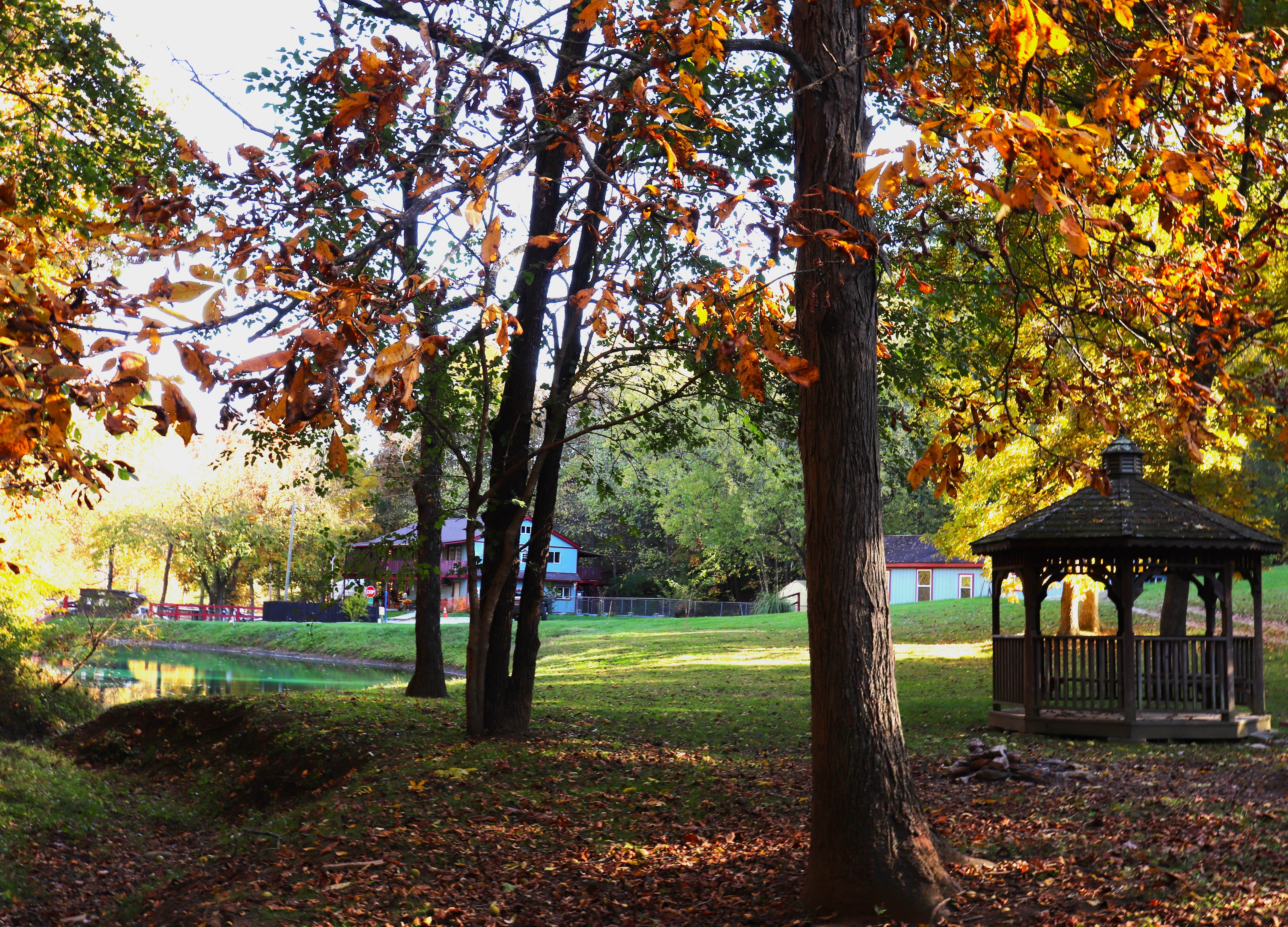 Camper-submitted photo at Three Springs Campground and RV Park near Williamstown, KY