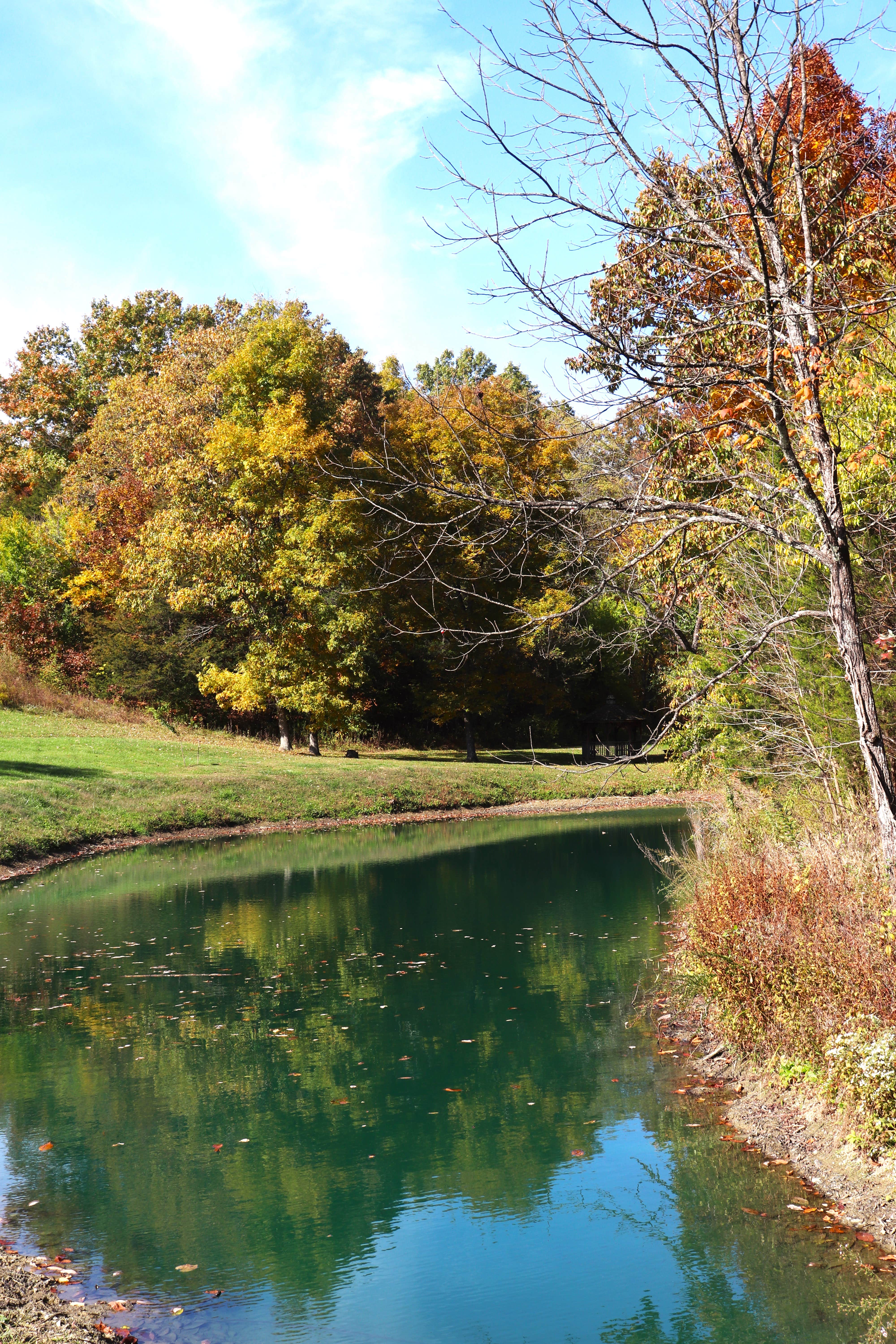 Camper-submitted photo at Three Springs Campground and RV Park near Williamstown, KY