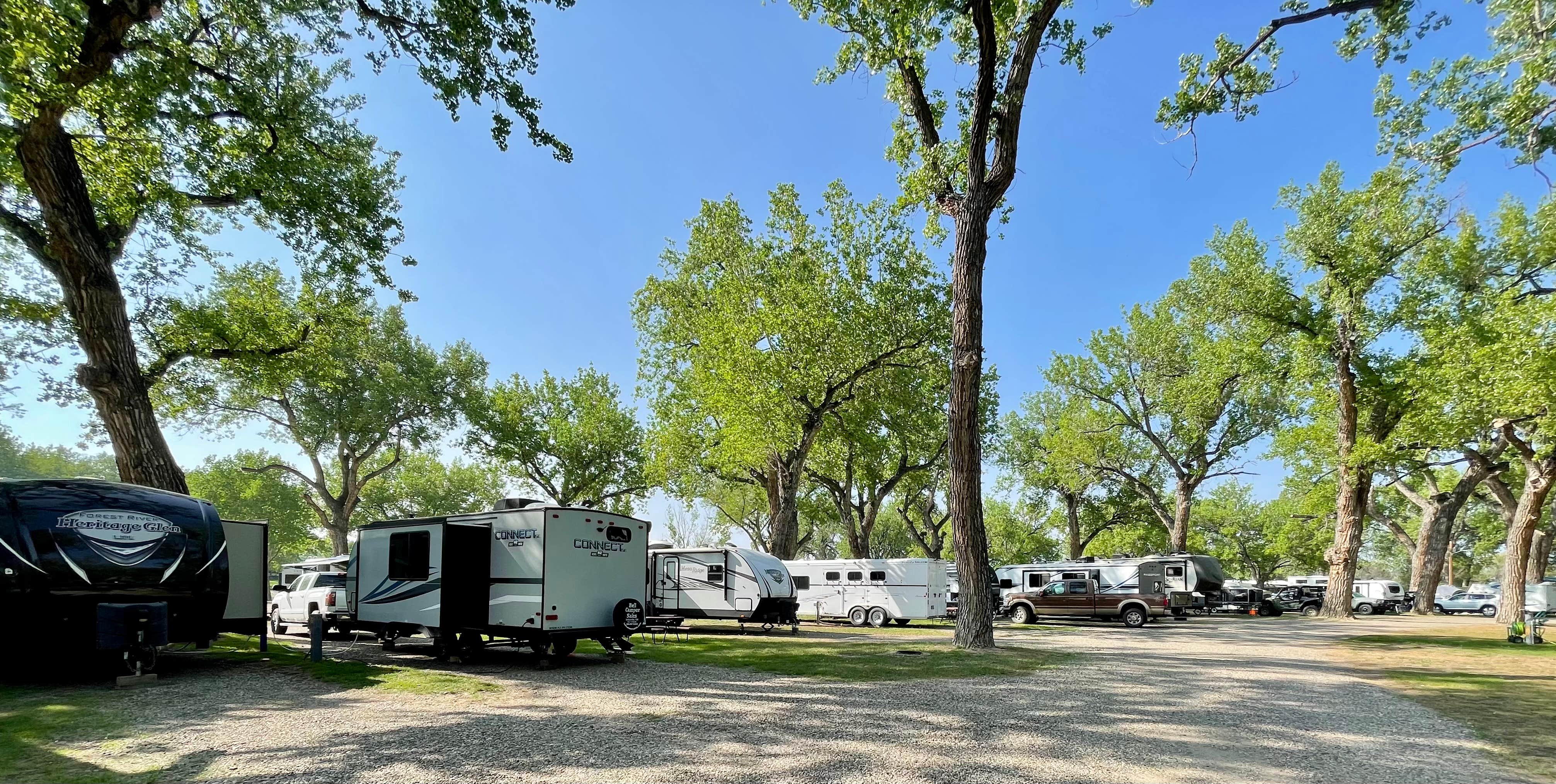 Camper submitted image from Miles City KOA - 4