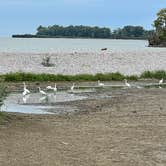 Review photo of Maumee Bay State Park Campground by Lee D., January 14, 2025