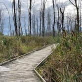 Review photo of Maumee Bay State Park Campground by Lee D., January 14, 2025