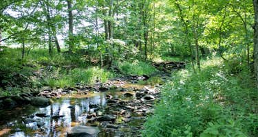 Bearkill Brook