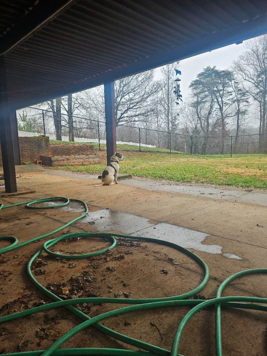 Jamie A.'s photo of camping with pets at Southern Love Farm near Mooresville, NC