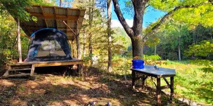 Camper submitted image from Plantasia Retreat at Anglin Falls