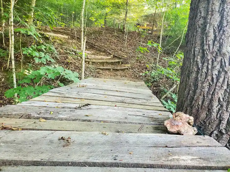 Camper-submitted photo at Plantasia Retreat at Anglin Falls near Richmond, KY