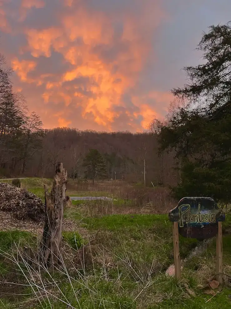 Camper-submitted photo at Plantasia Retreat at Anglin Falls near Richmond, KY