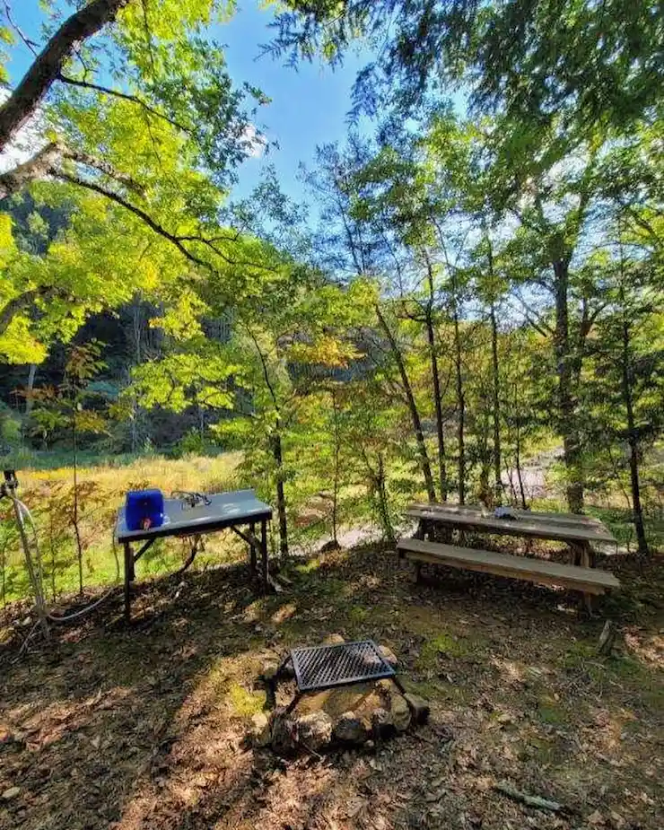 Camper-submitted photo at Plantasia Retreat at Anglin Falls near Richmond, KY