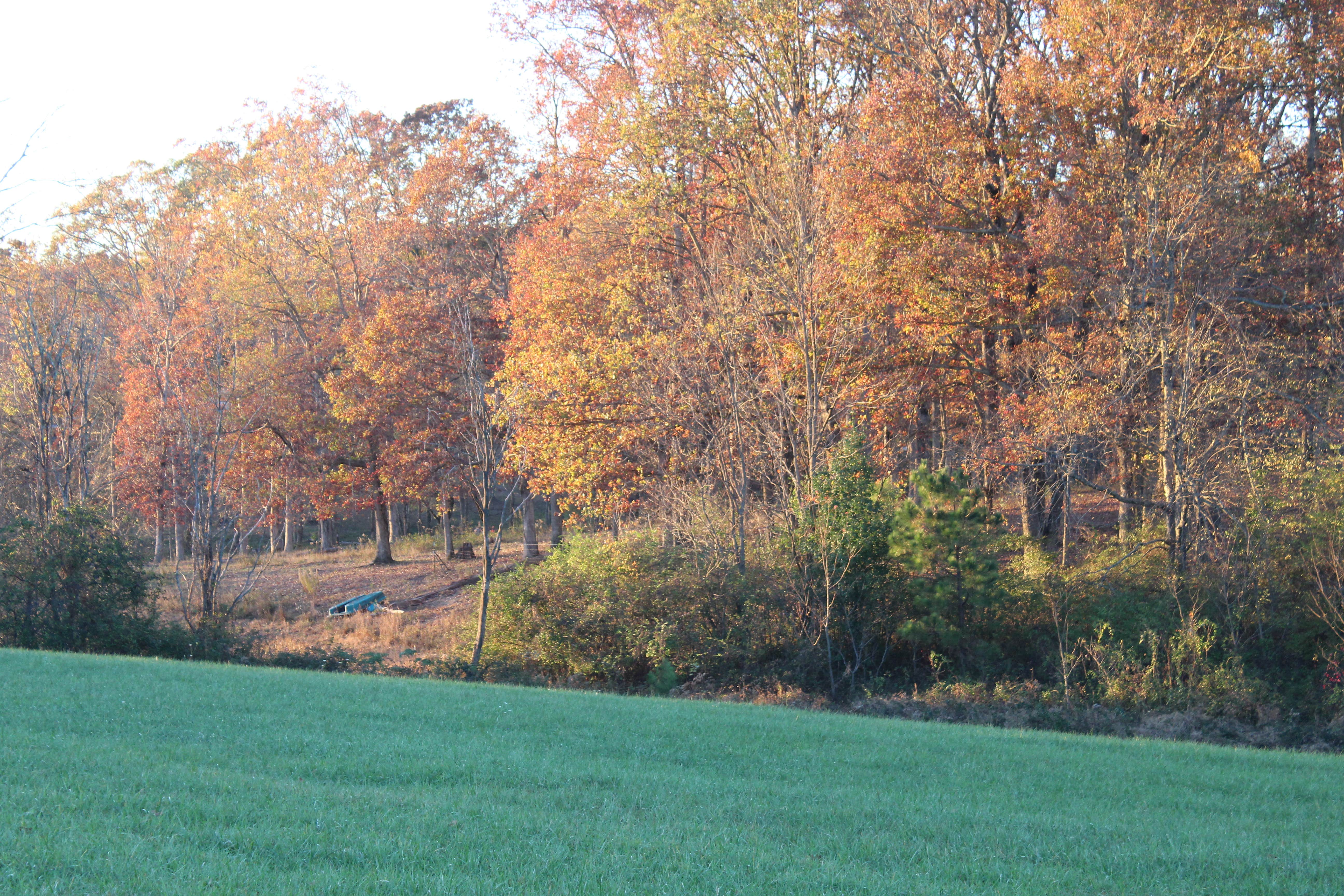 Camper-submitted photo at Misty Mountain RV Resort near Pleasant Hill, TN
