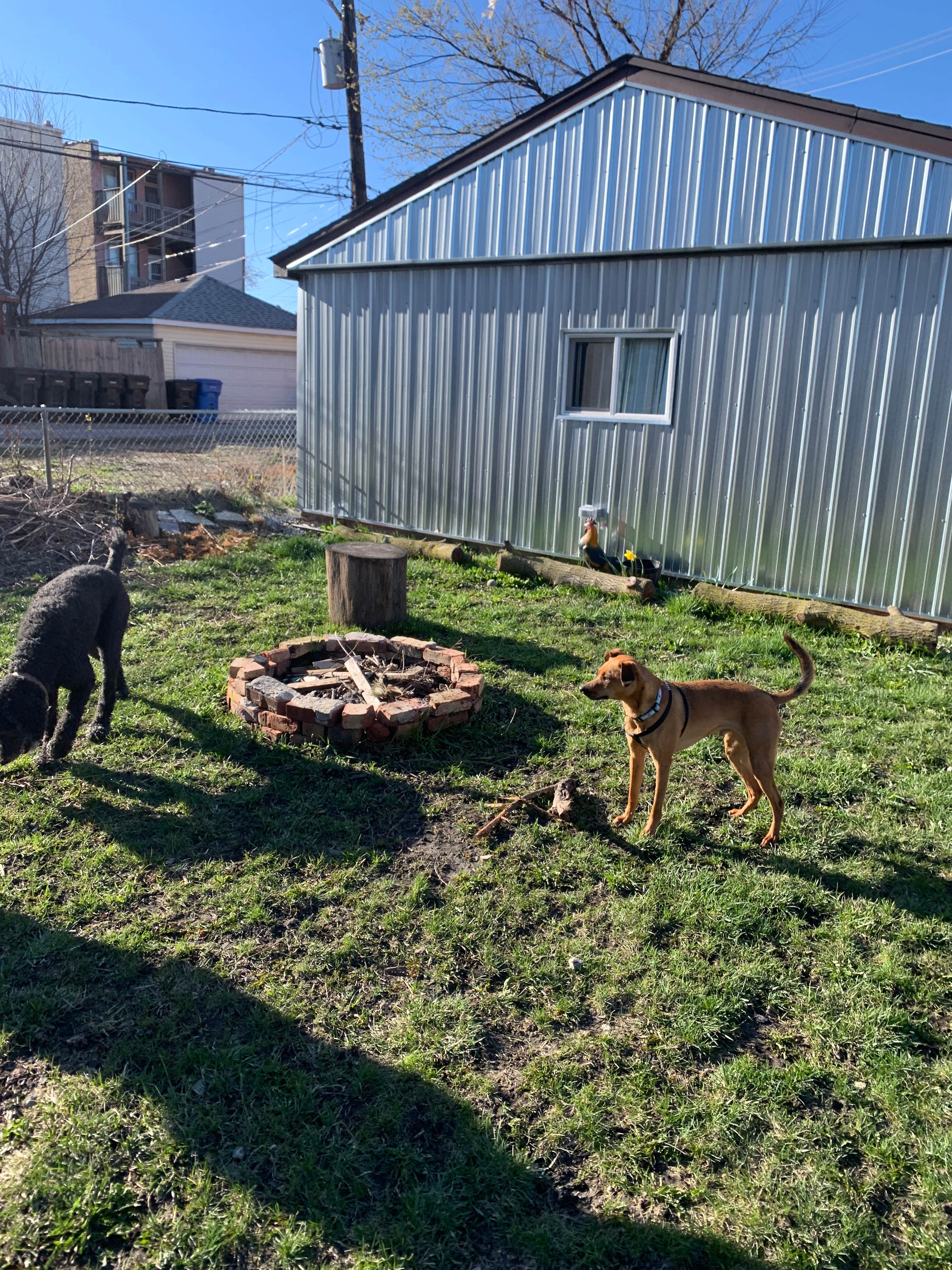 Kristin & Desereé S.'s photo of camping with pets at The Fawn Flats near Chicago, IL