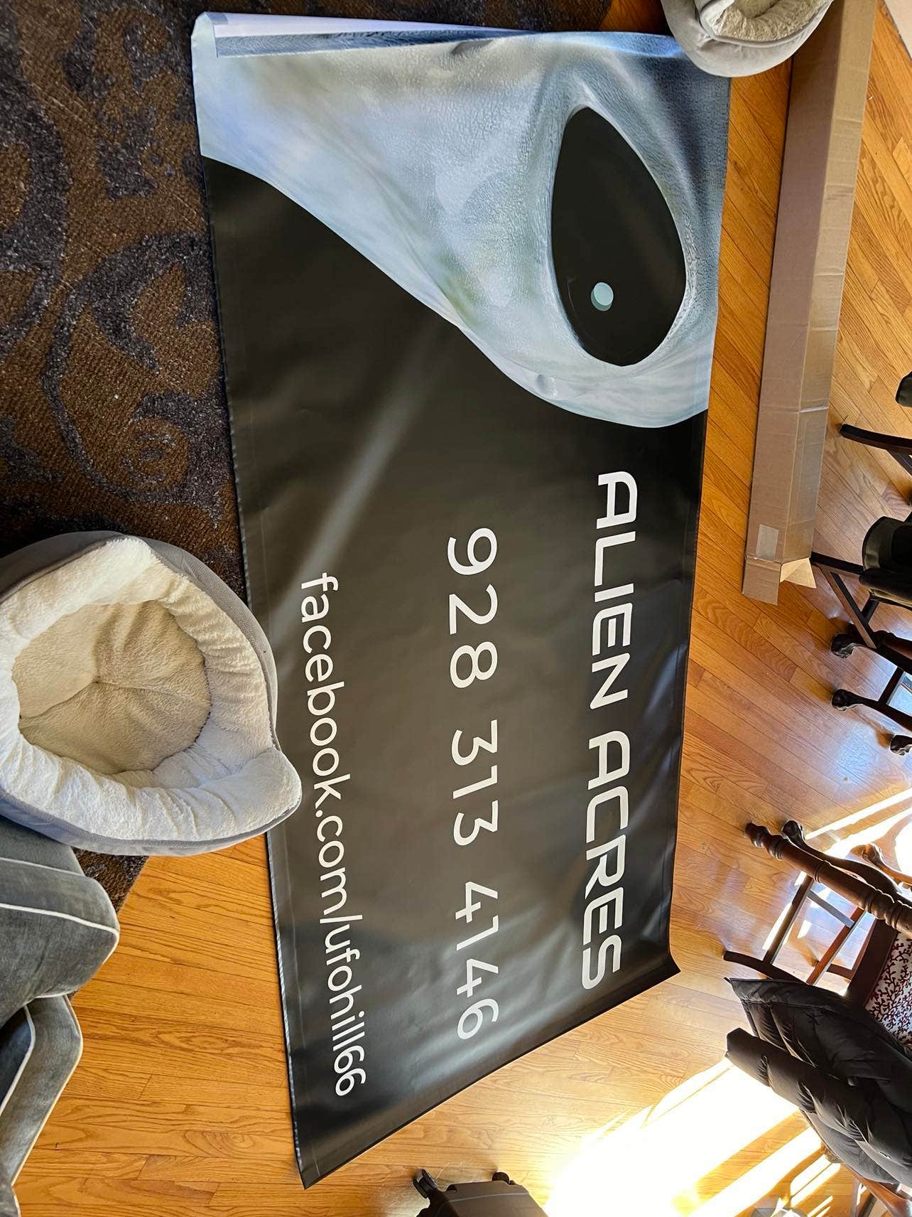 Camper-submitted photo at Alien Acres near Petrified Forest Natl Park, AZ