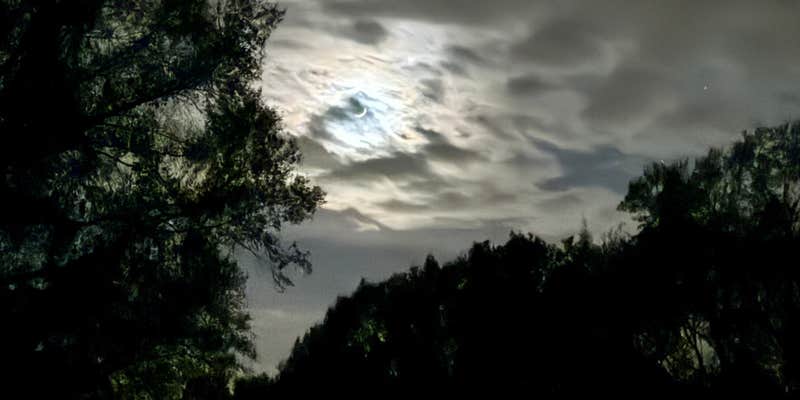 Camper submitted image from Pondview Acres Campground