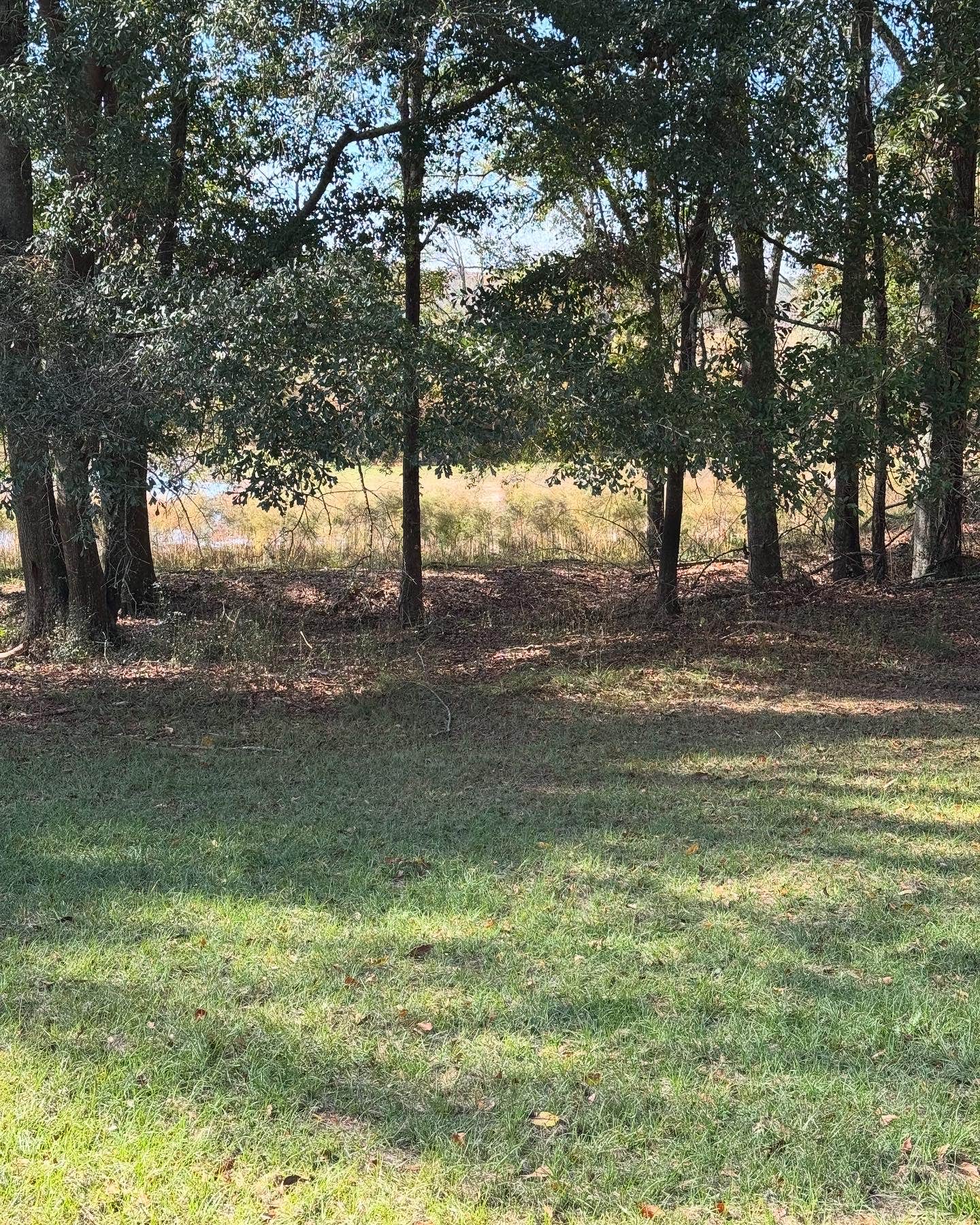 Camper-submitted photo at Pondview Acres Campground near Troy, AL
