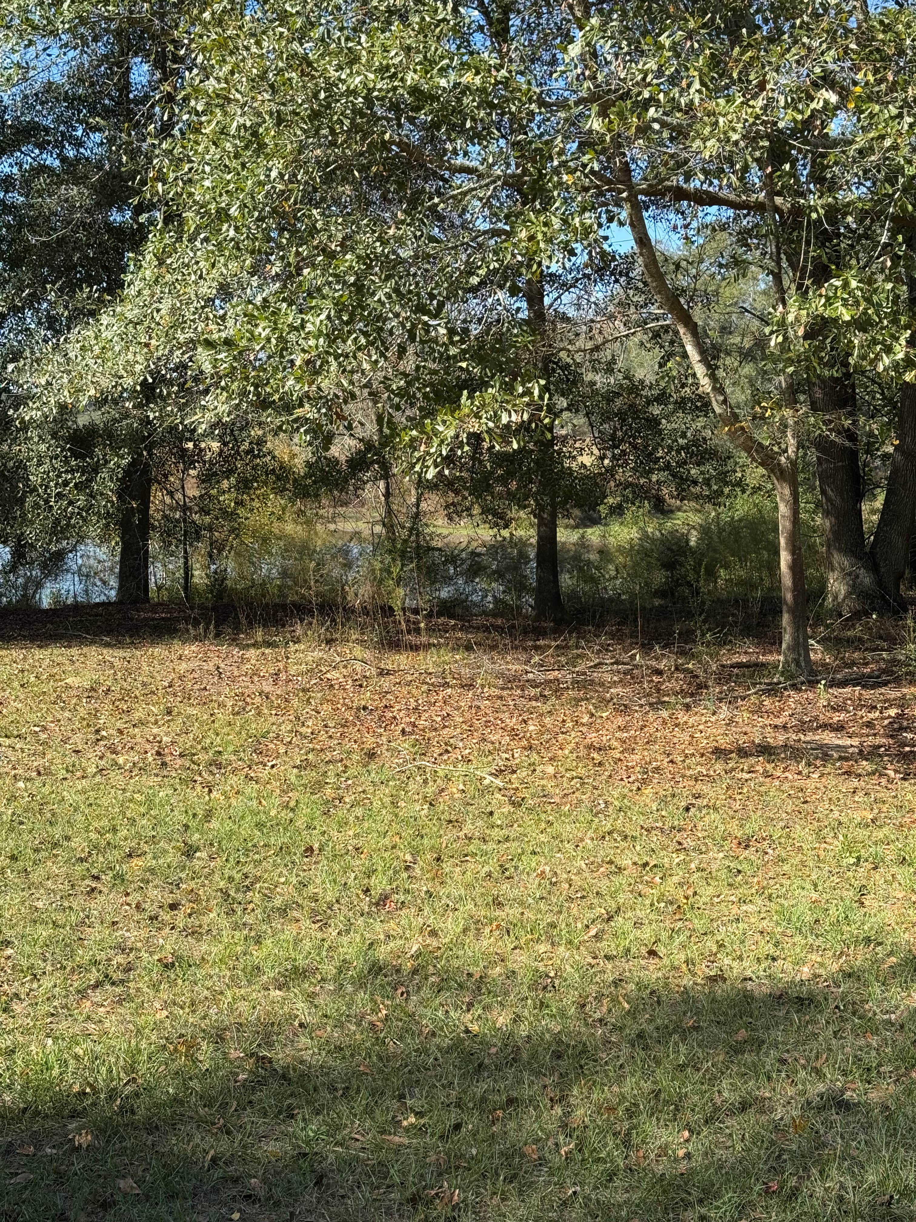 Camper-submitted photo at Pondview Acres Campground near Troy, AL