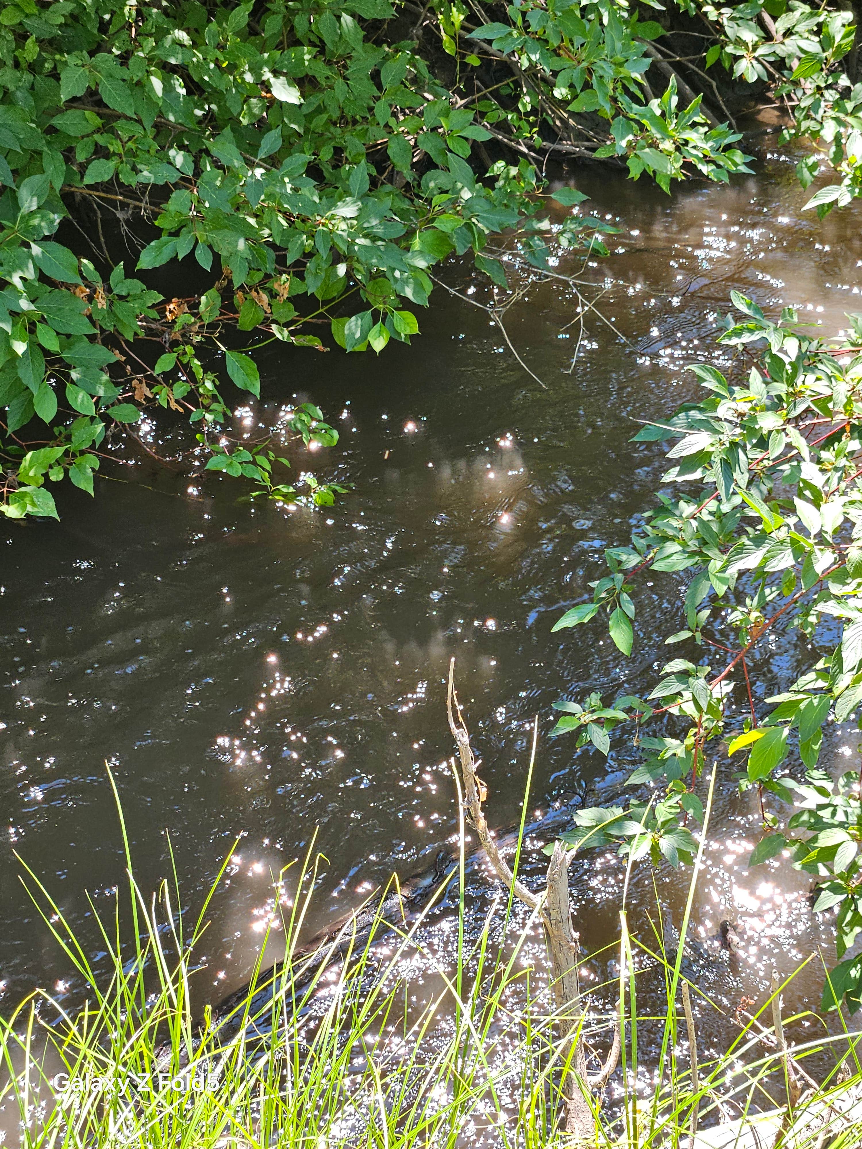 Camper-submitted photo at Hillside RV Park and Activity Center near Republic, WA
