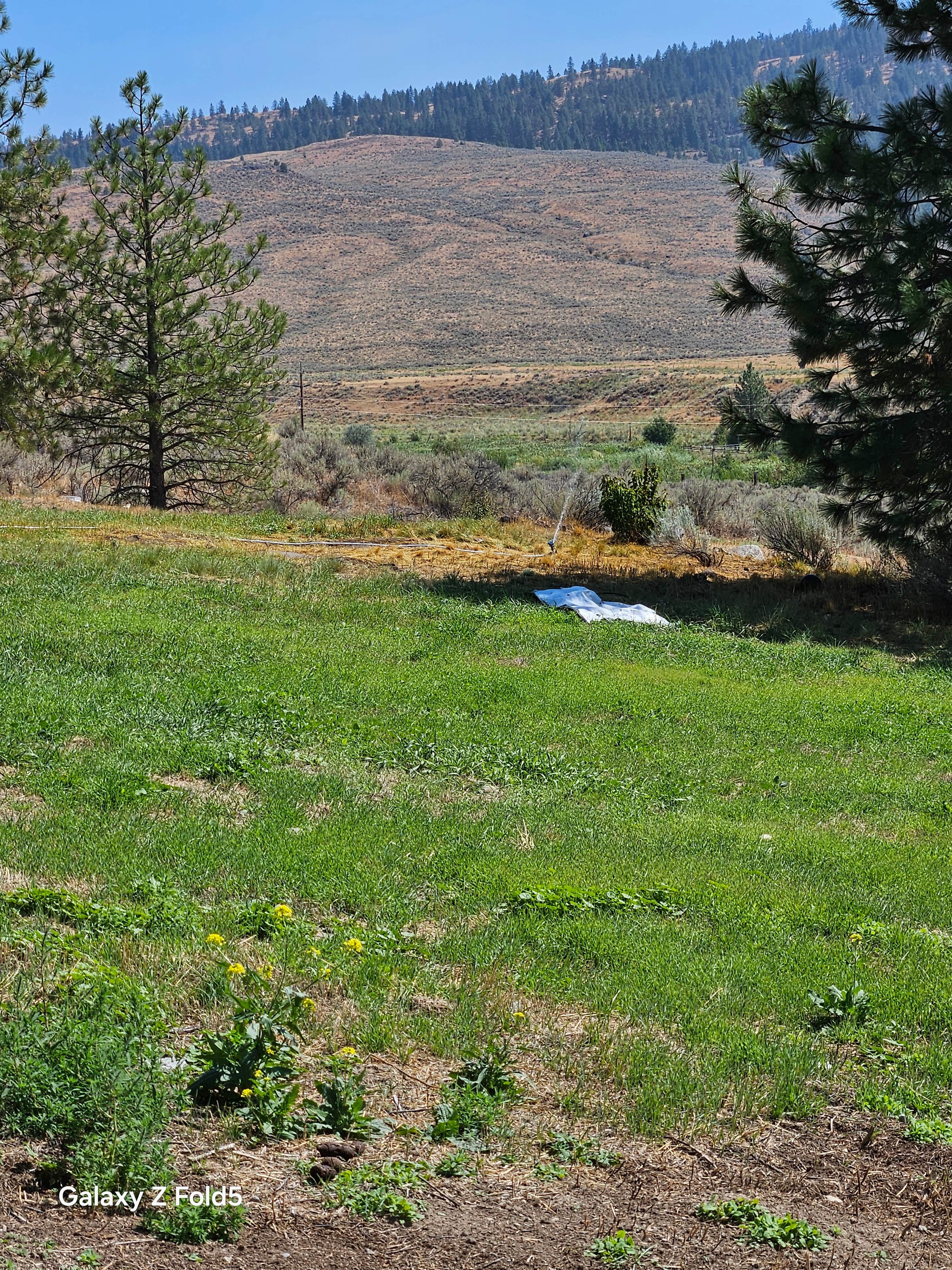 Camper-submitted photo at Hillside RV Park and Activity Center near Republic, WA