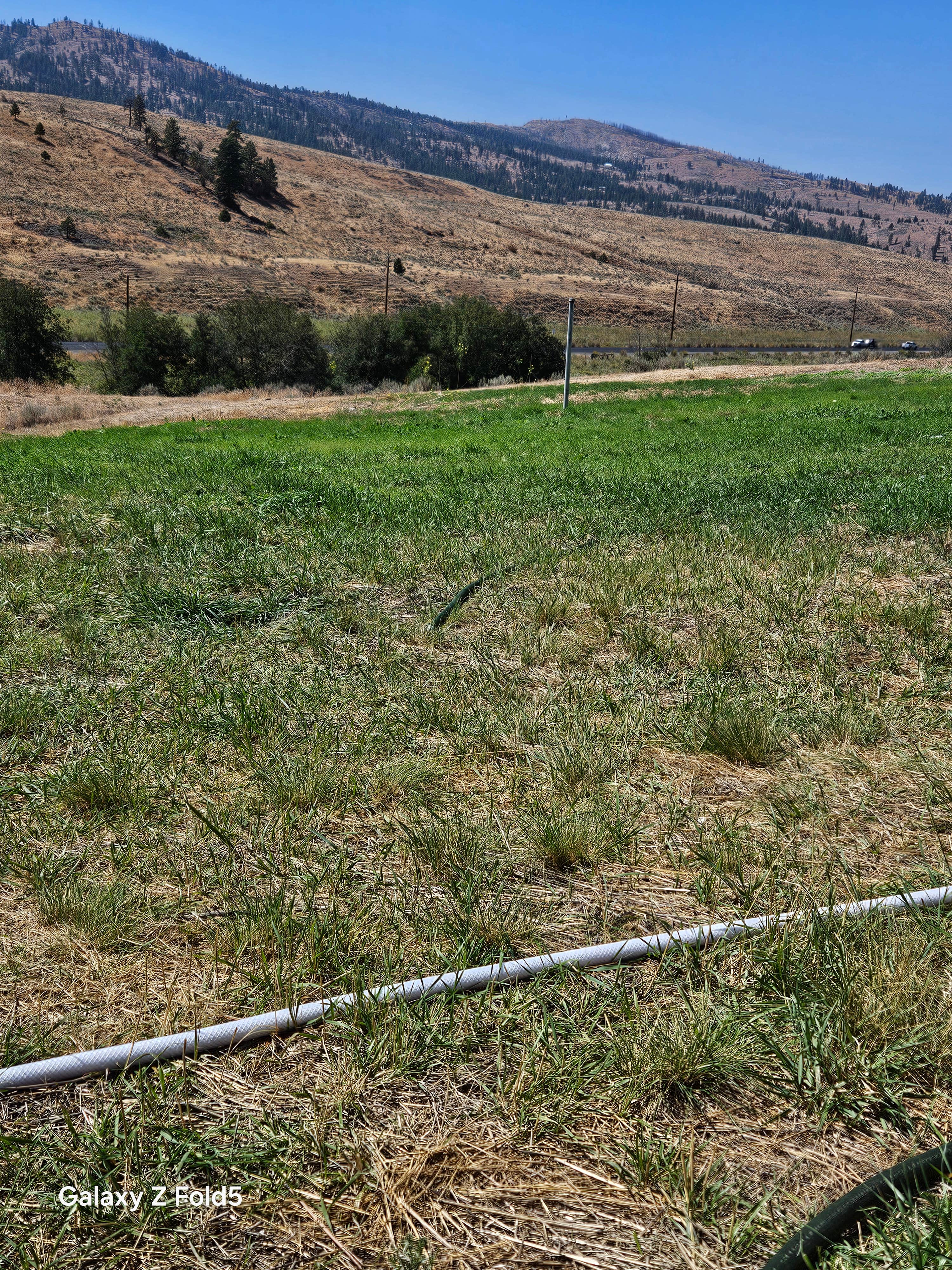 Camper-submitted photo at Hillside RV Park and Activity Center near Republic, WA