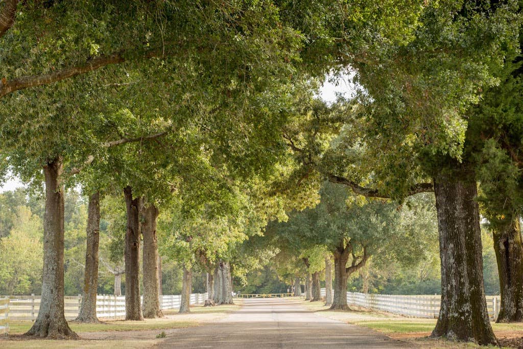 Camper-submitted photo at Southwoods RV Park | Christian Retirement Ministry near Hawkins, TX