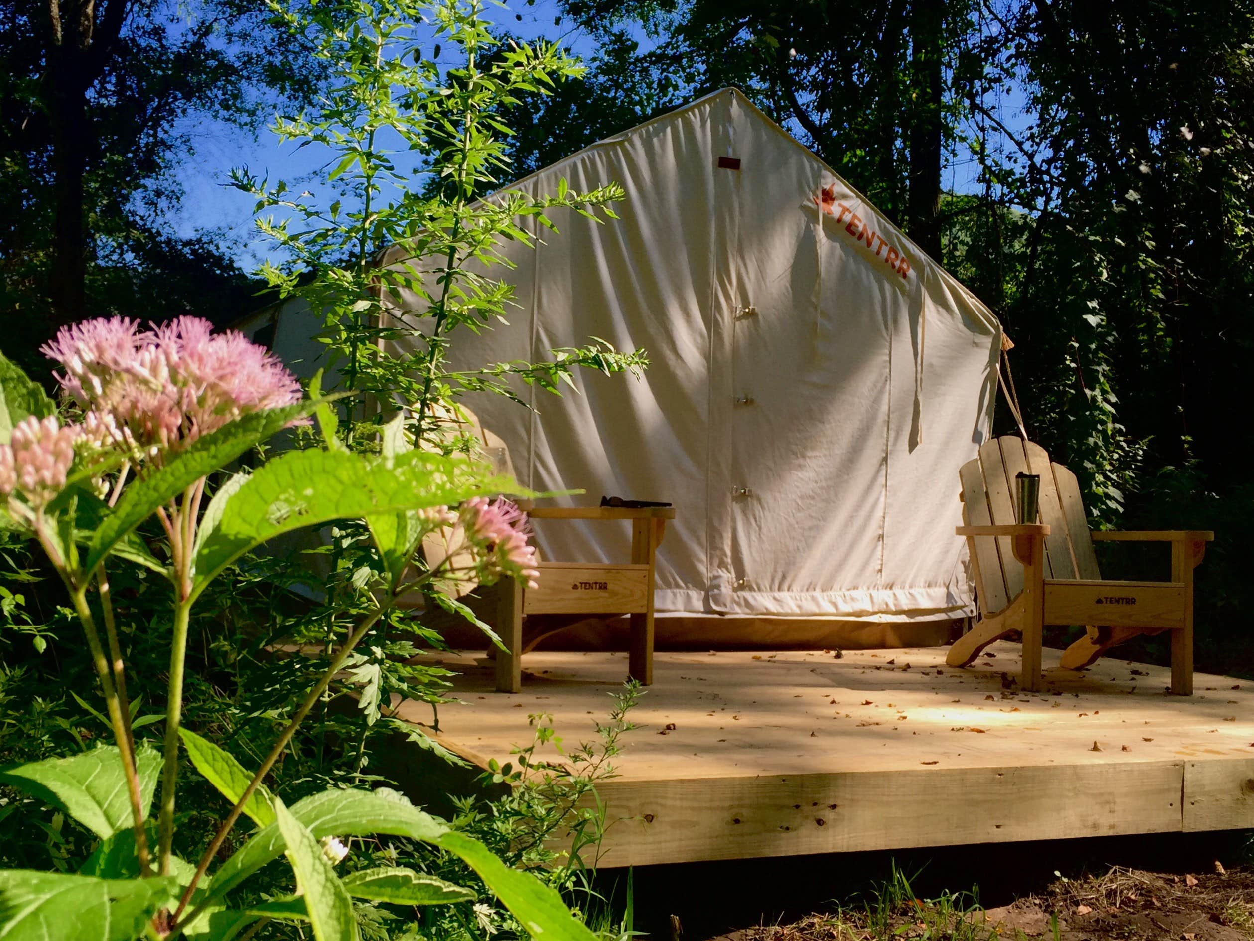 The Dyrt's photo at Swimming Hole in the Sycamores near Starlight, PA