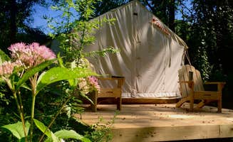 The Dyrt's photo at Swimming Hole in the Sycamores near Downsville, NY