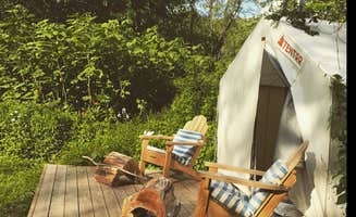 The Dyrt's photo at Swimming Hole in the Sycamores near Downsville, NY