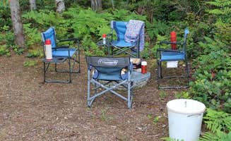 Denise C.'s photo at Courter Country Farm near Edmonds, WA
