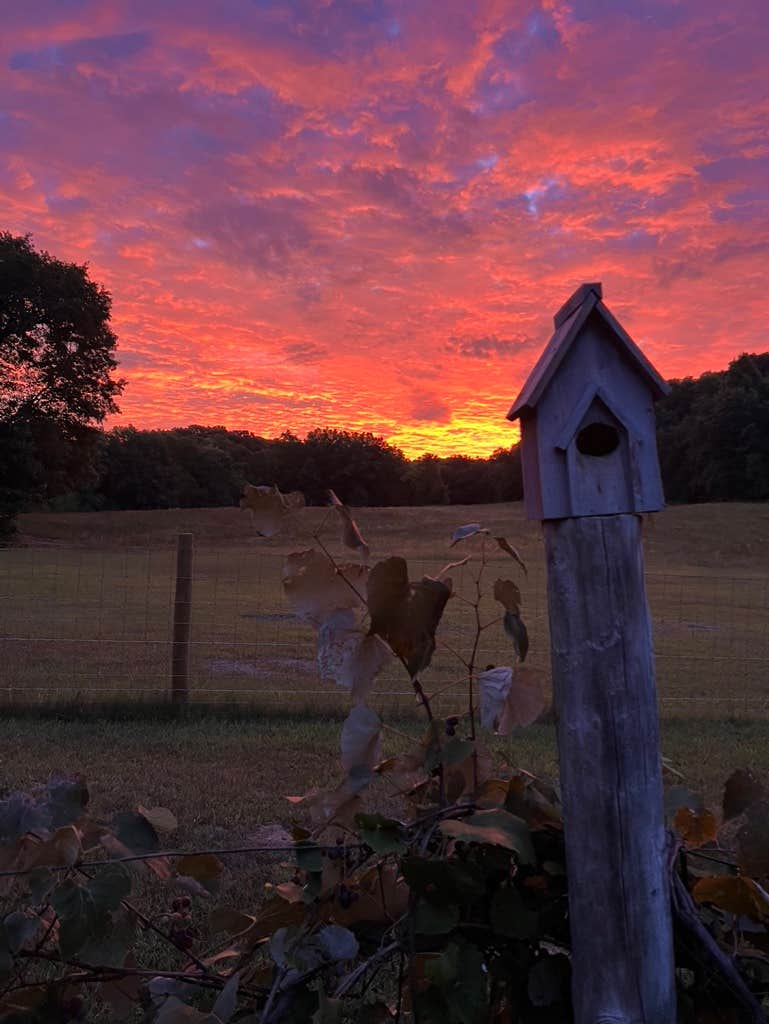 Camping near Blanding Landing: Honey Bee & Bee Homestead, Hanover, Illinois