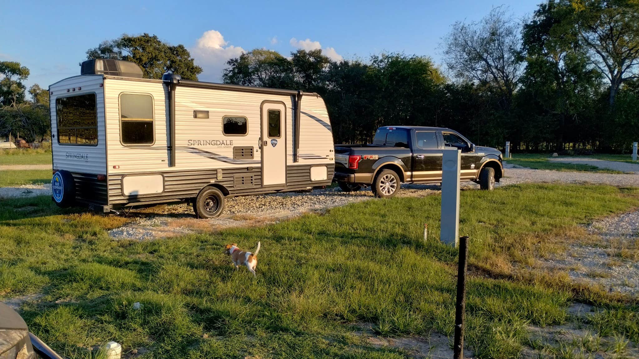 Lake Tawakoni  R.'s photo of camping with pets at ZRey RV Resort near Canton, TX