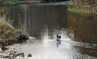 Mark M.'s photo of camping with pets at Shirleys’ River Retreat near Marlinton, WV