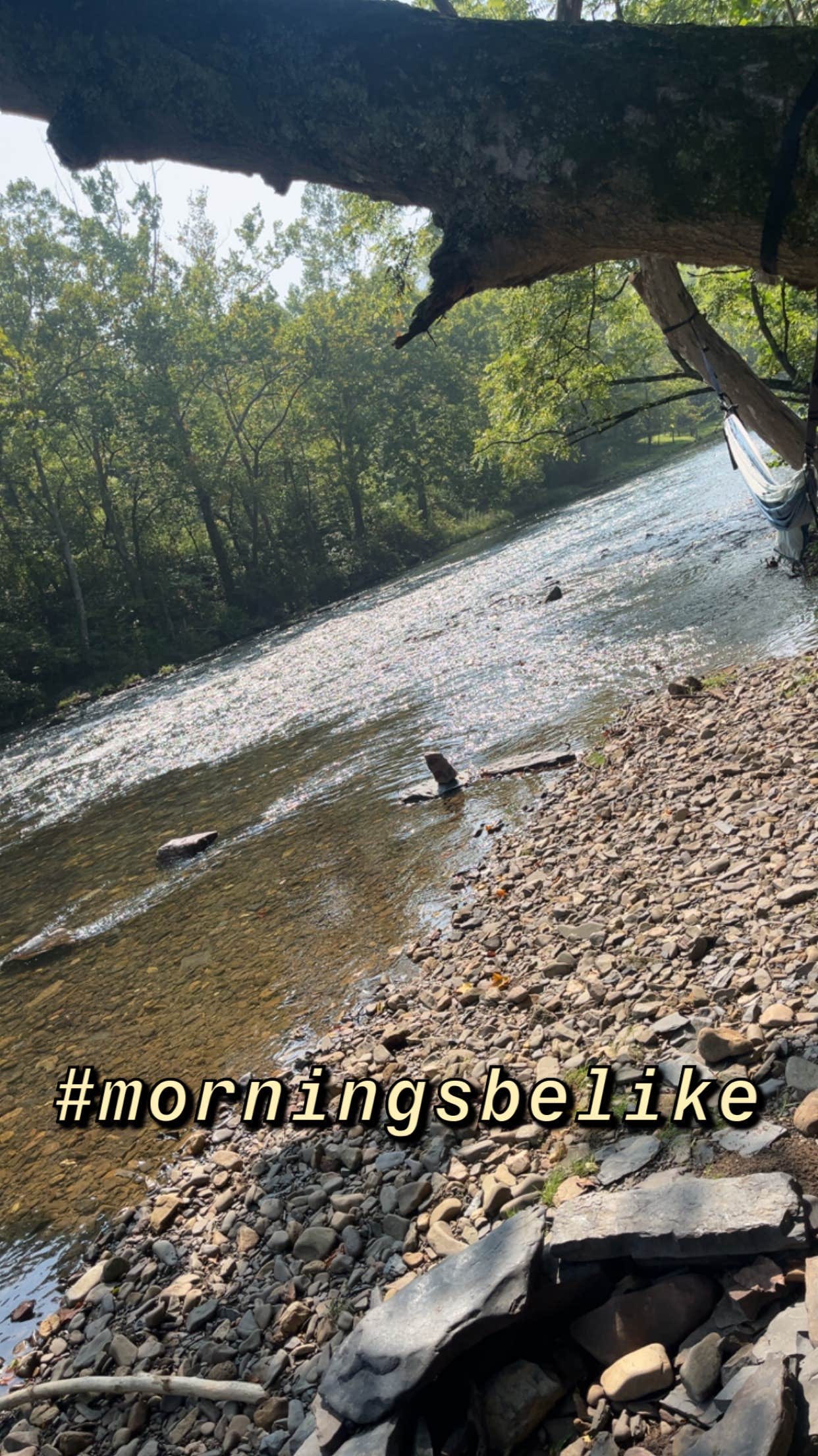 Camper-submitted photo at Shirleys’ River Retreat near Buchanan, VA