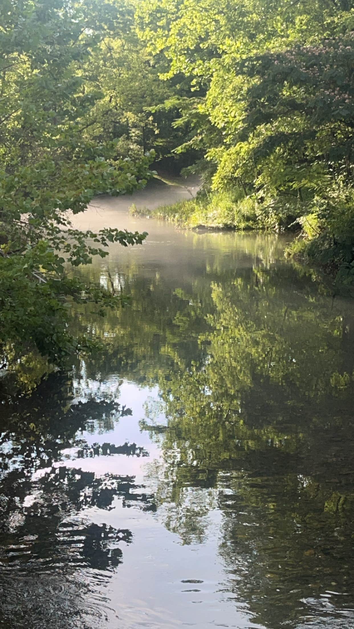 Camper-submitted photo at Shirleys’ River Retreat near Buchanan, VA