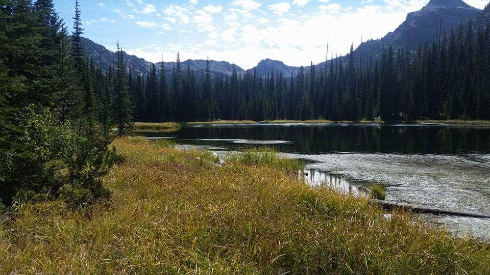 Camper submitted image from Emerald Creek Campground - 2