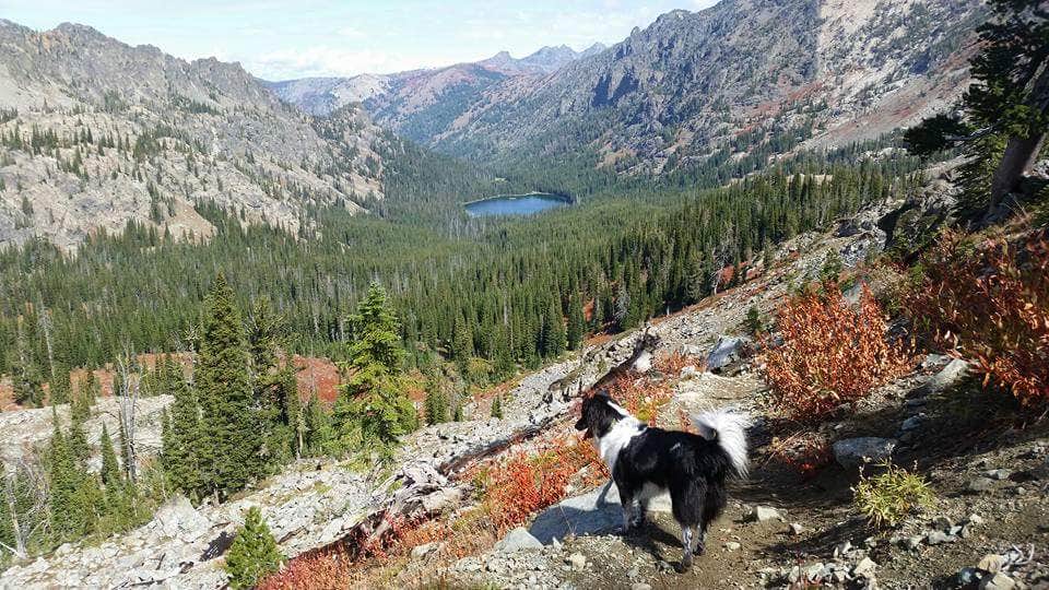 Camper submitted image from Emerald Creek Campground - 3