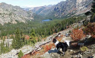 Stephanie L.'s photo of camping with pets at Emerald Creek Campground near Palouse, WA