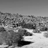 Review photo of Bow Willow Primitive Campground — Anza-Borrego Desert State Park by Robert G., January 18, 2025