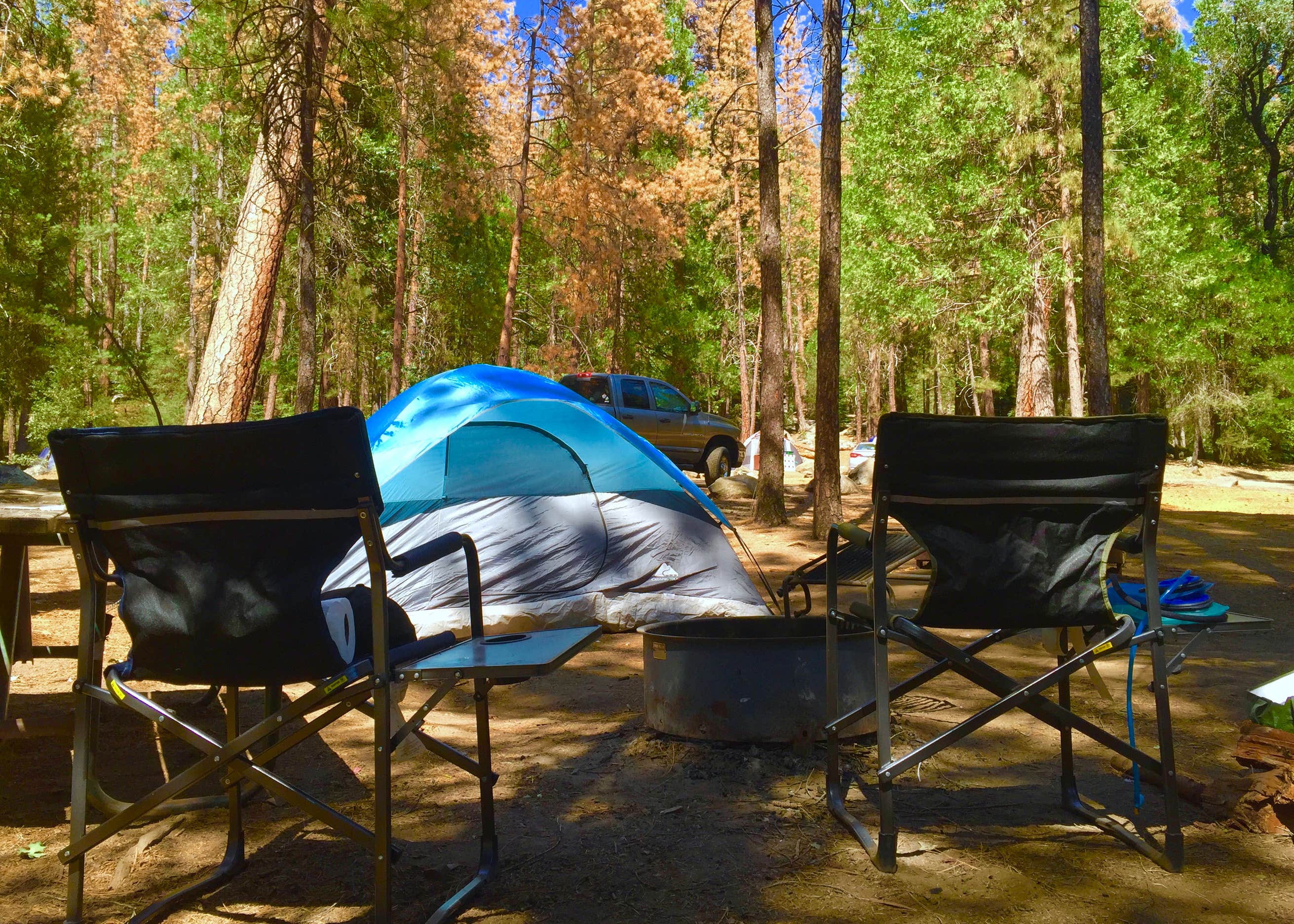 Wawona Yosemite National Park Camping The Dyrt