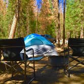 Review photo of Wawona Campground — Yosemite National Park by Steve M., September 16, 2016
