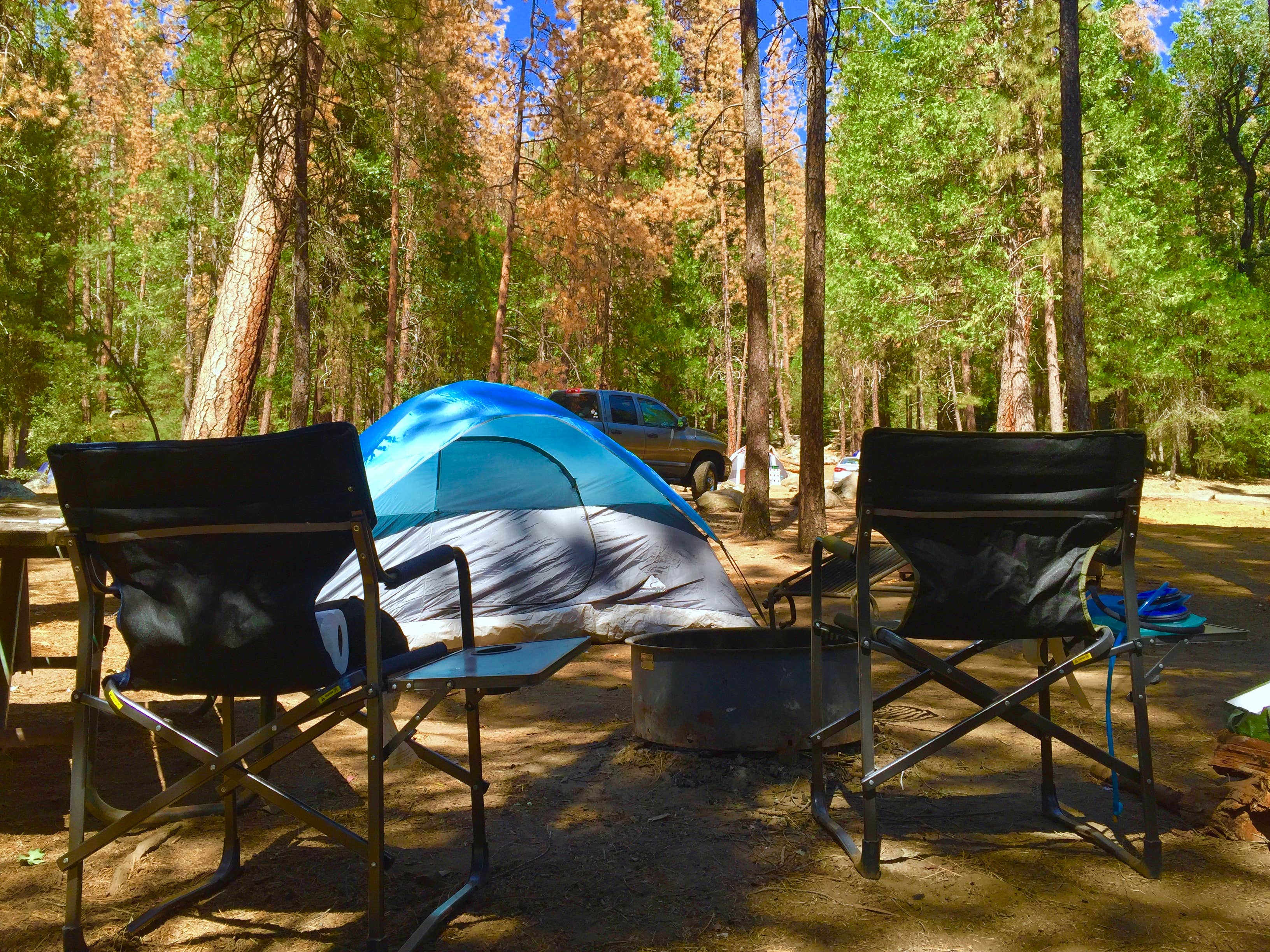Camper submitted image from Wawona Campground — Yosemite National Park - 2