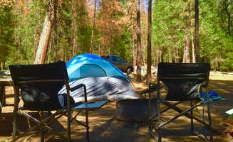 Steve M.'s photo at Wawona Campground — Yosemite National Park near Wawona, CA