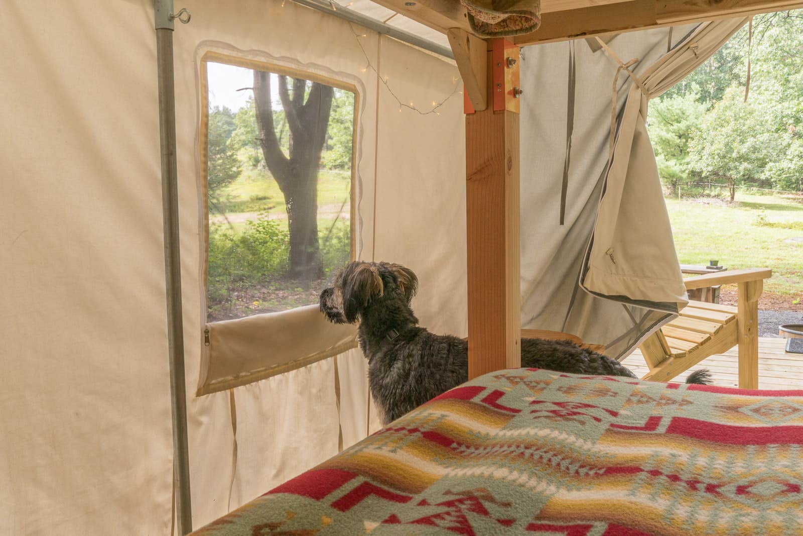The Dyrt's photo of glamping accommodations at Baker's Spring Horse Camp near York Beach, ME
